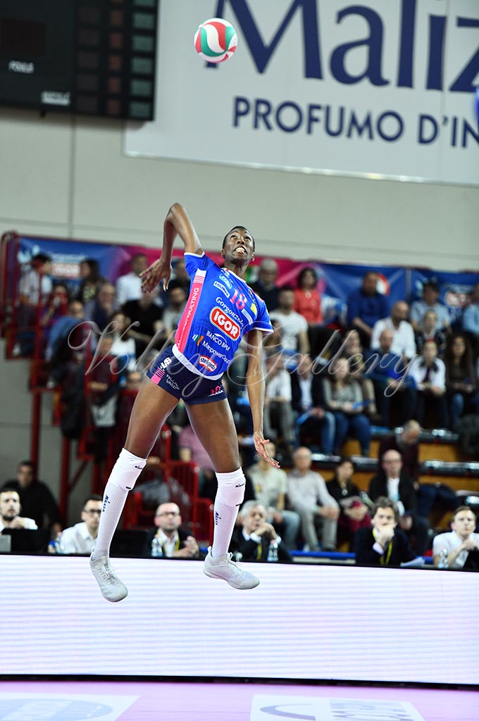 Igor NO-Il Bisonte FI (10)